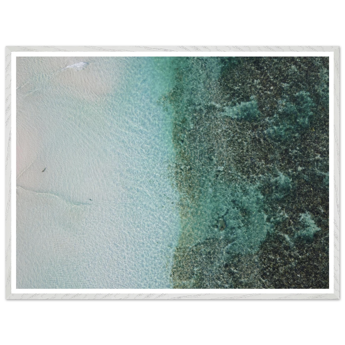 aebc9c86-d949-4bfe-8a76-cc34bc434815