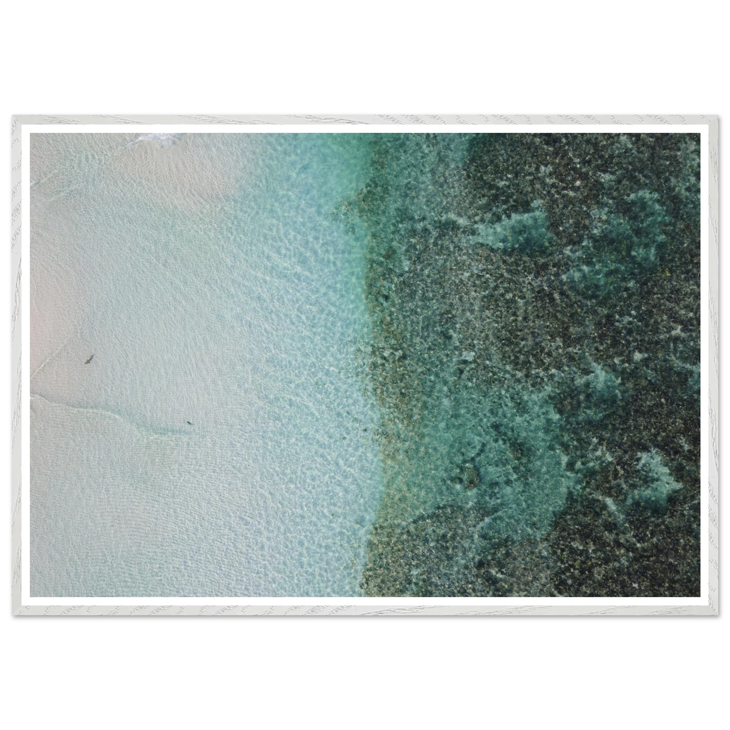 af0585bd-708e-4770-8e02-39f6d6568d52