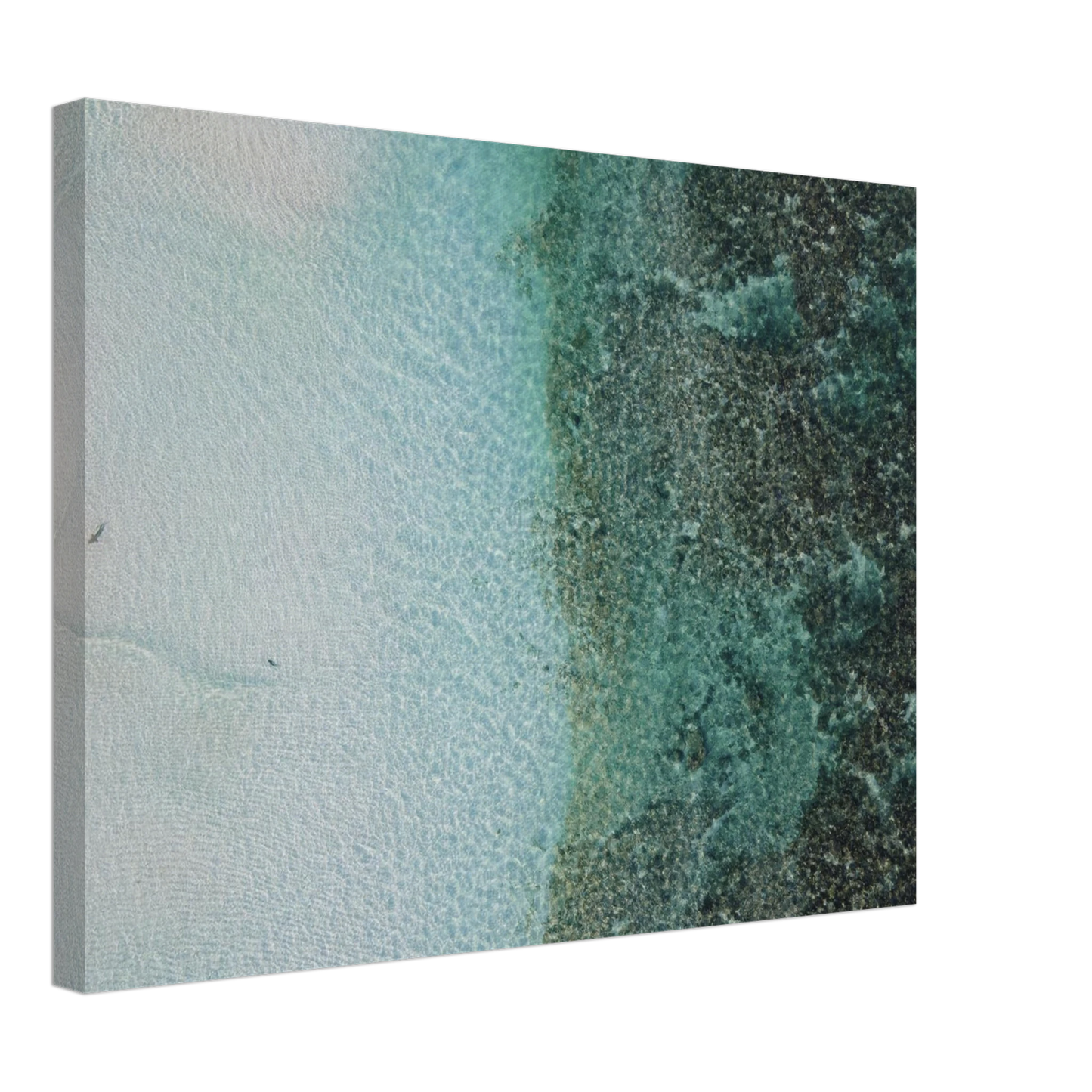 af5801f8-1db2-404b-b345-23be6cbe060d