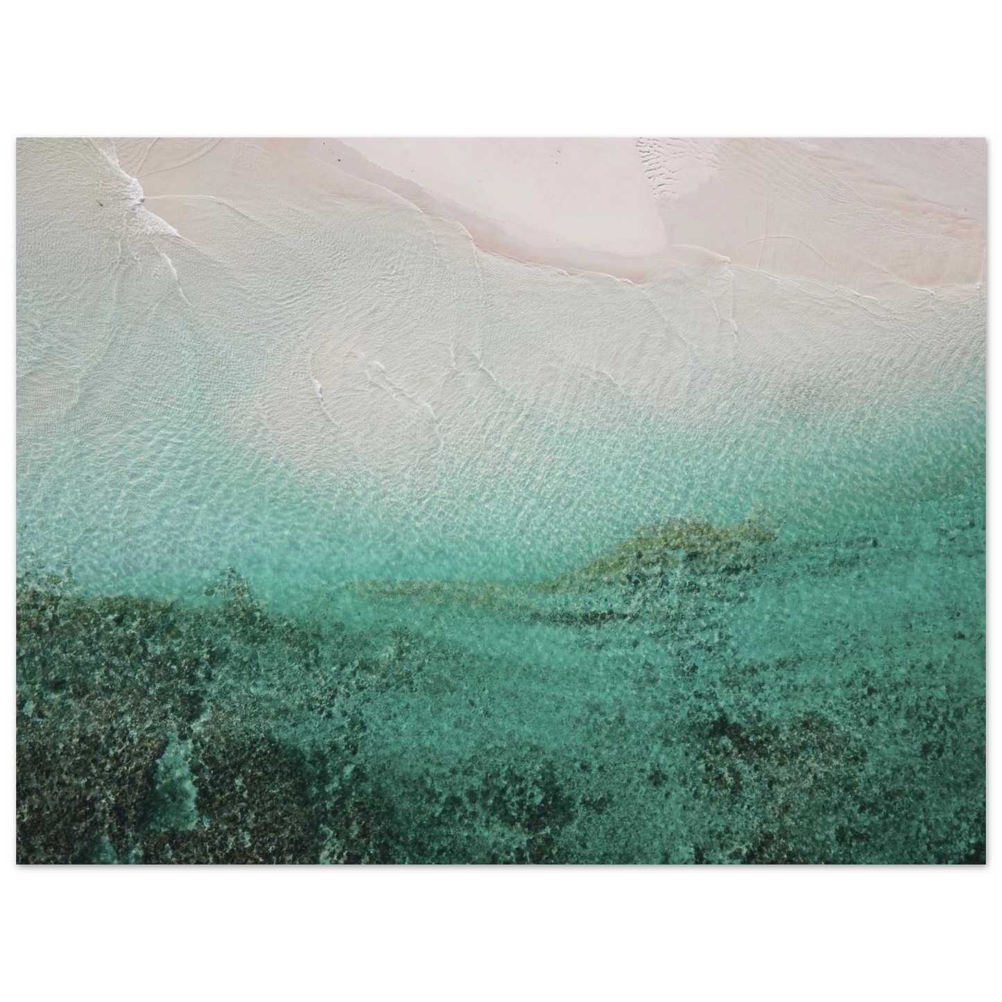 b8677a40-ee5c-443c-8239-3964baf9e82e