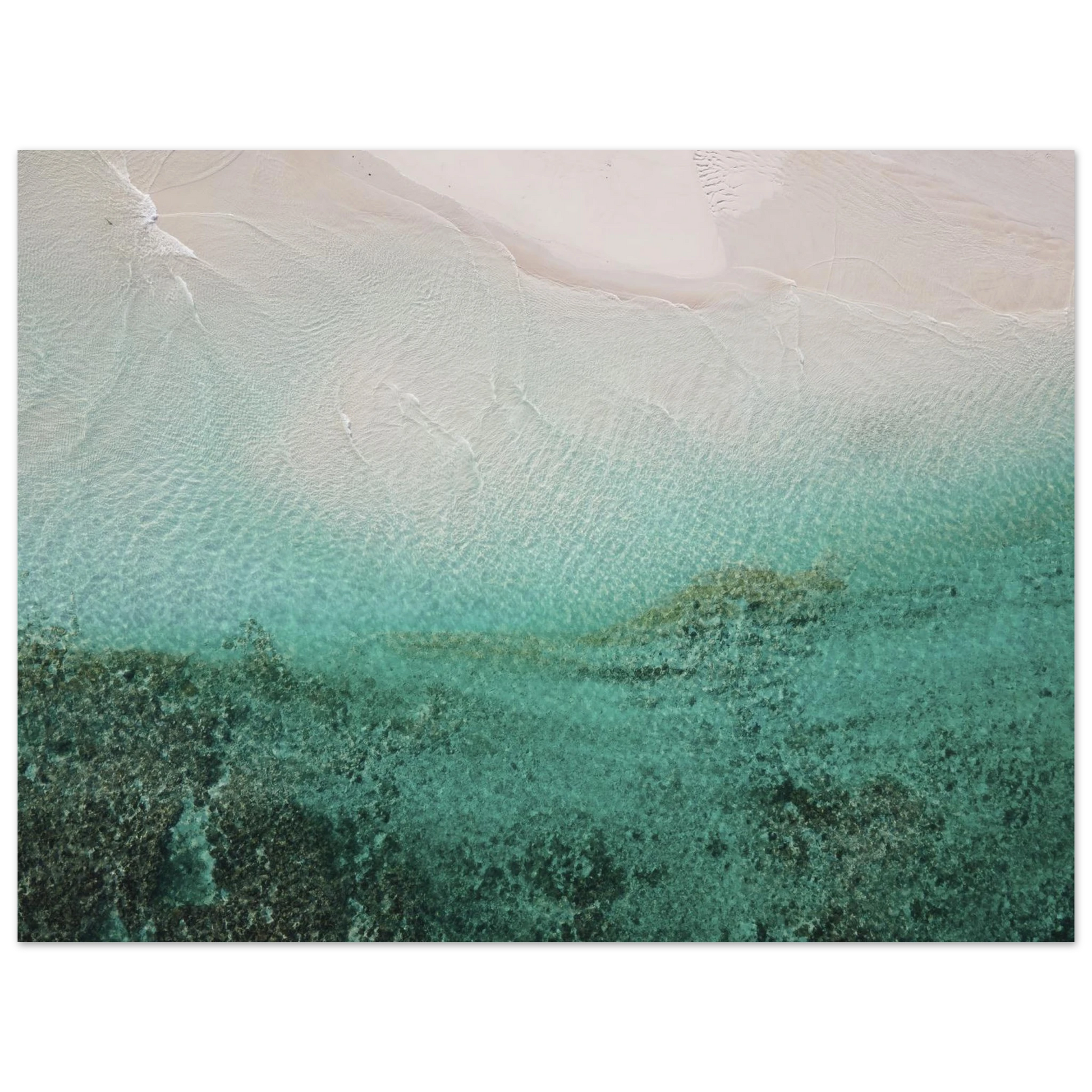 b8677a40-ee5c-443c-8239-3964baf9e82e