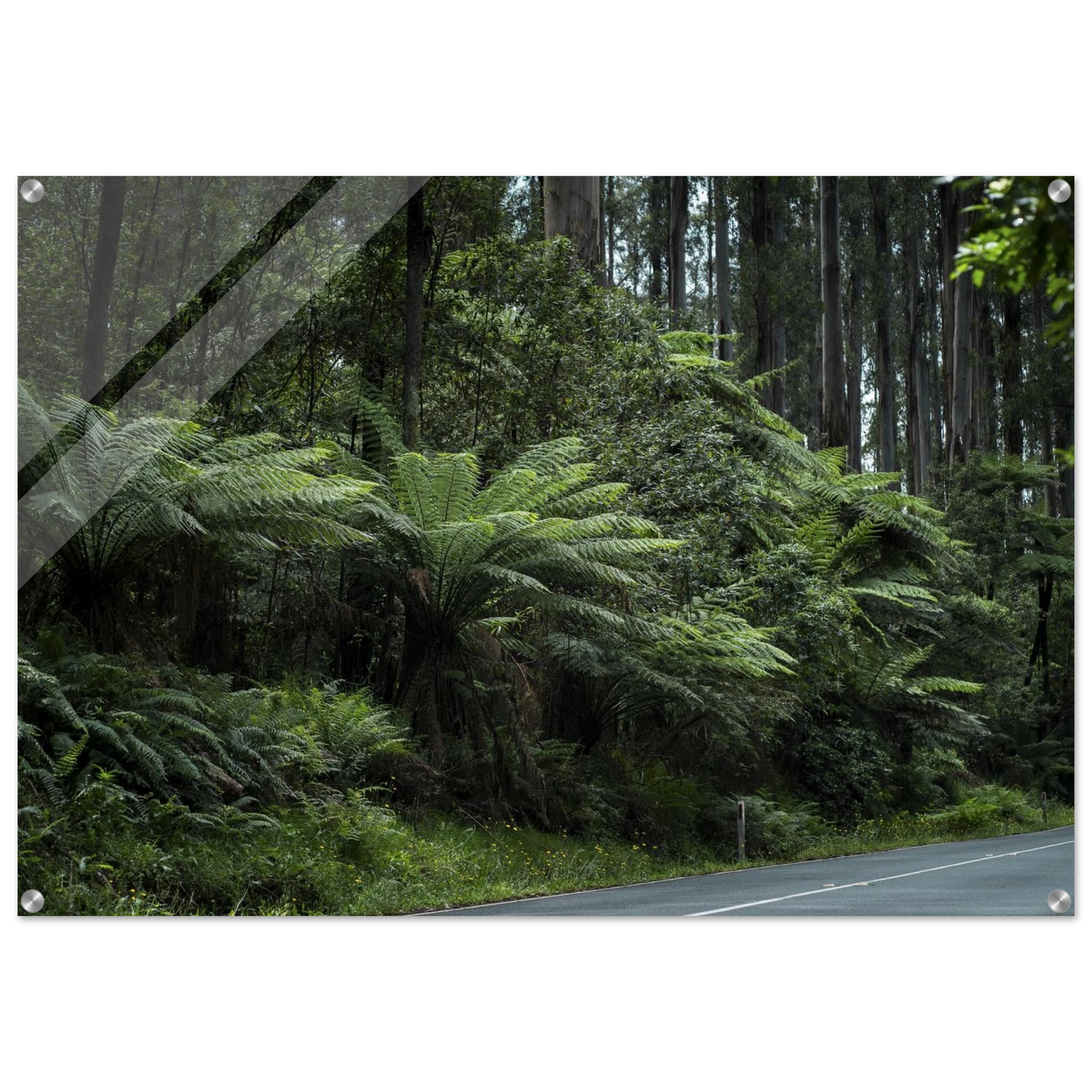 bd304de0-e90a-4d14-bb94-8b1b3b9257d4