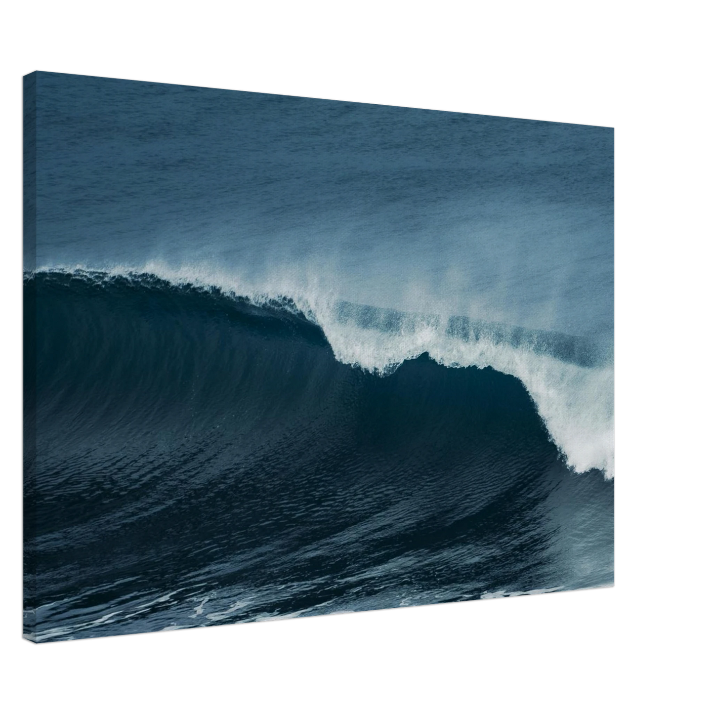 c9ec9ba9-979b-4bff-8f3b-663890e72817