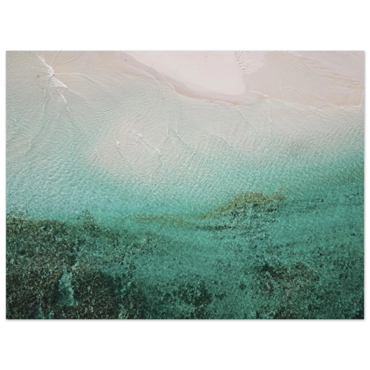 cce8e685-9523-4e9c-afa5-054f3bbfd792