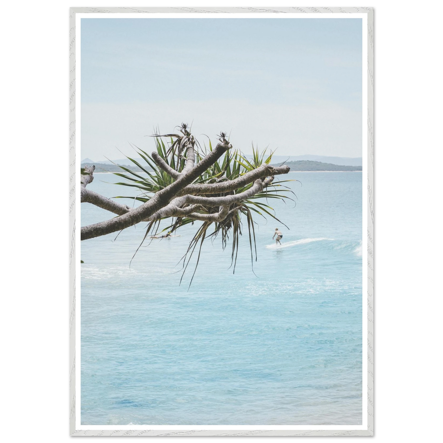 d2acad72-298c-41b4-8323-da0f11476799