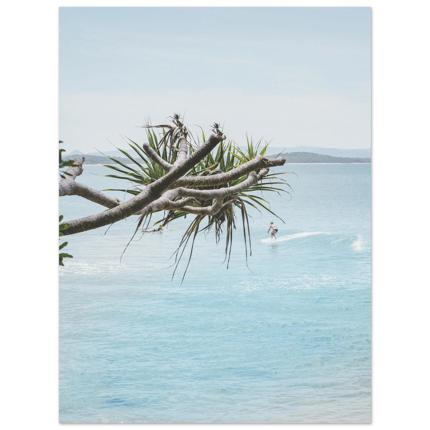 d3bc4c85-808d-4090-907e-bd54d007ed66