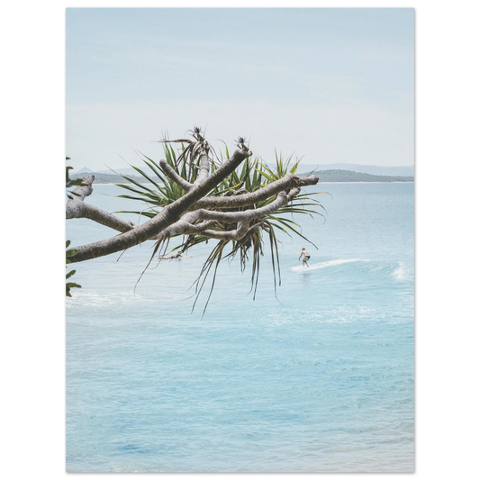 d3bc4c85-808d-4090-907e-bd54d007ed66