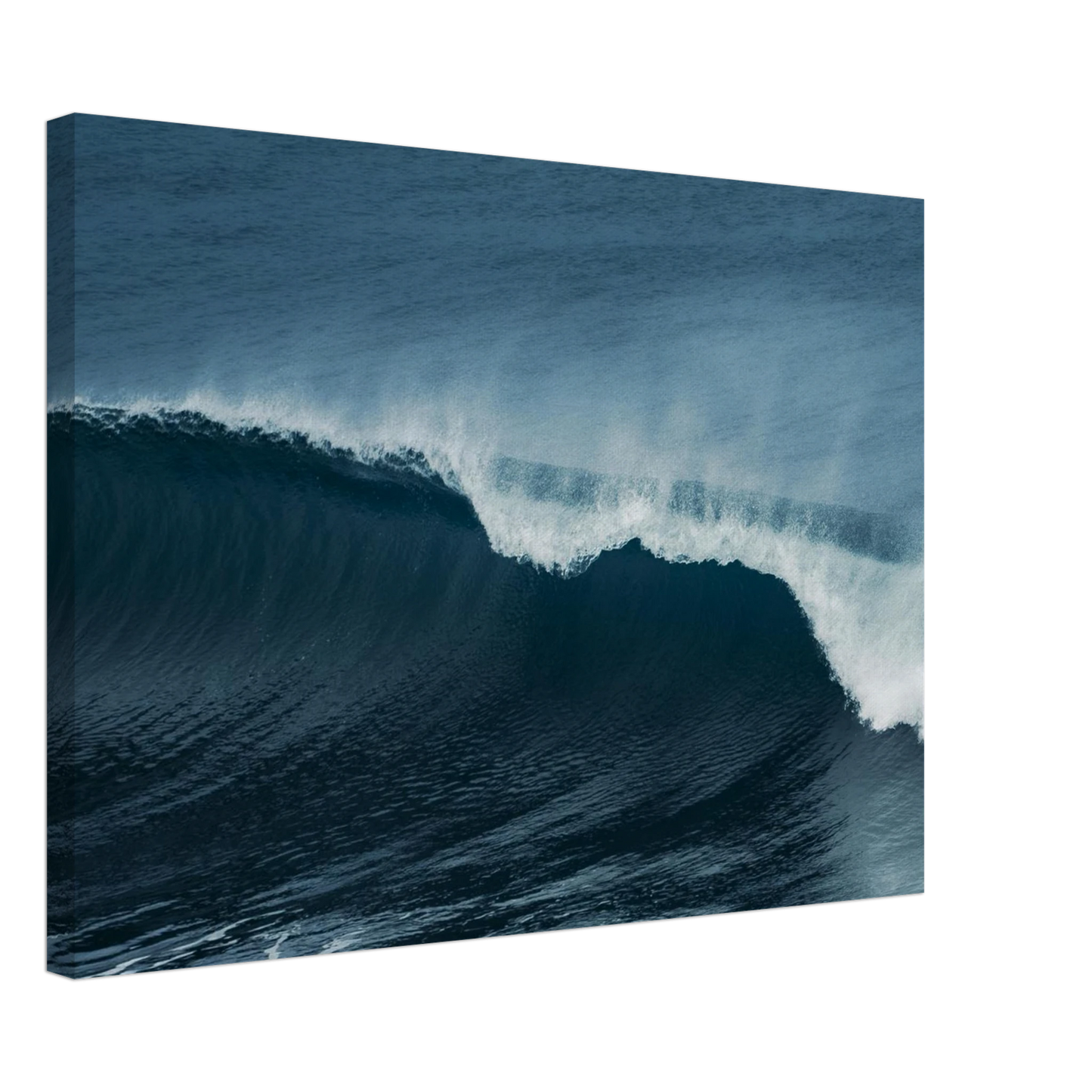 d629598b-5ac4-46e3-8889-c324d04d1808