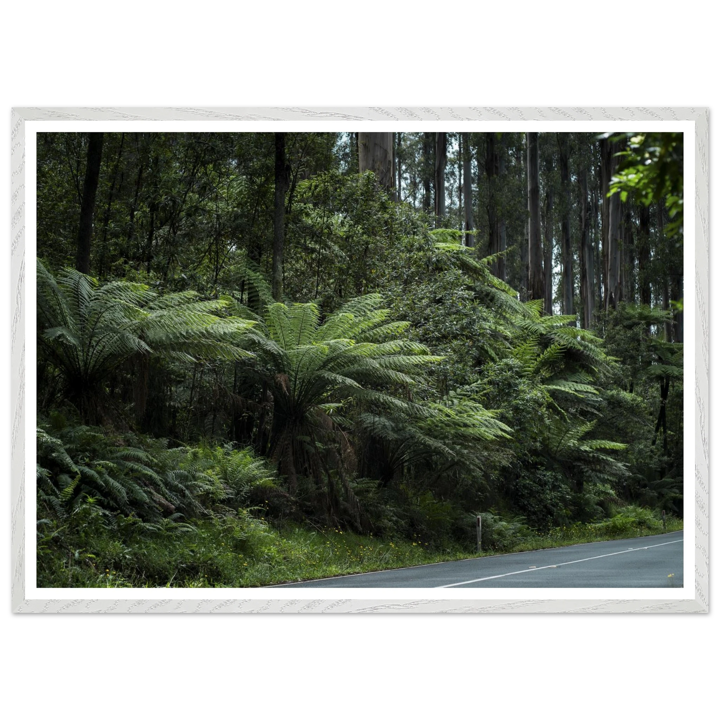 d82c0352-4161-45ff-b212-2317cbdf4ed7