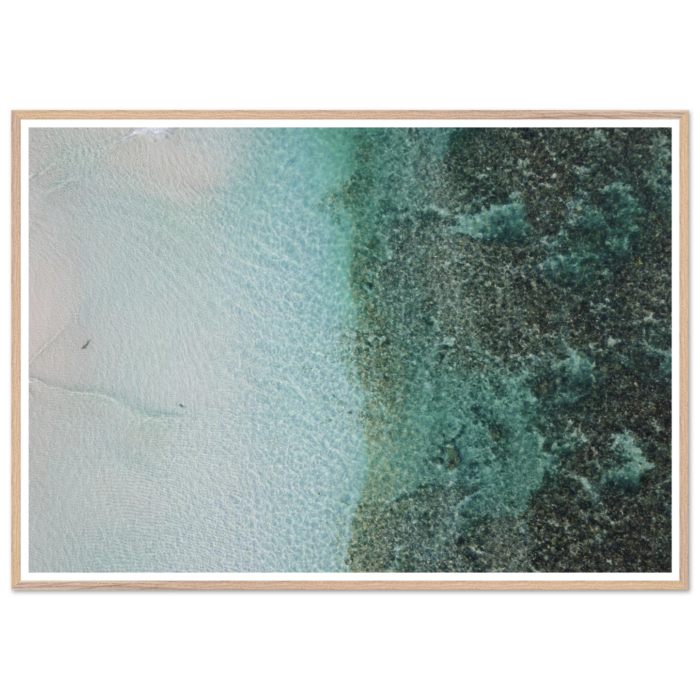 da3bc114-6b43-4d09-b626-2a906003fa3b