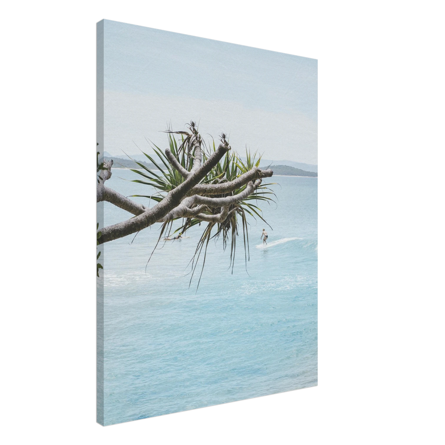 dd5817cb-d4ab-46e3-a433-86f4b9a58ce0