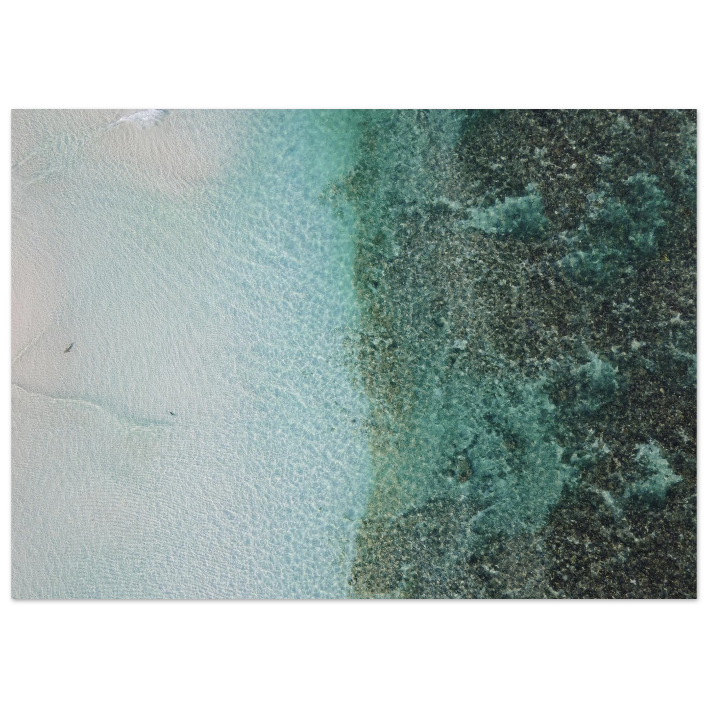 e7a70375-3490-418a-a5d8-b1e258a71f2e