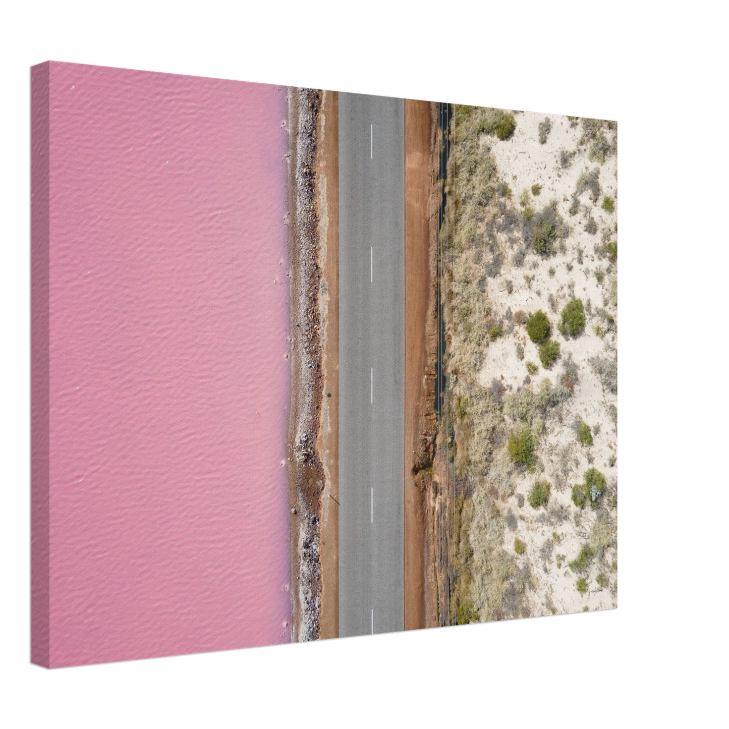 e8b28843-8e6d-40ee-9d9d-176696ead21c