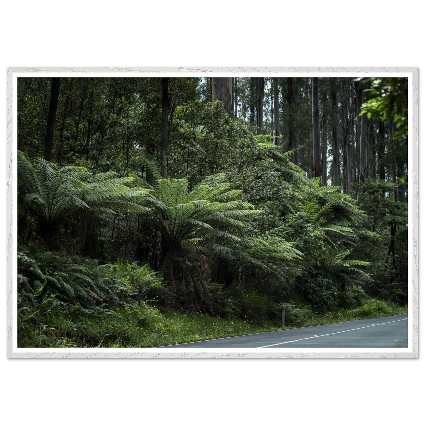 ef75c650-7d60-4837-ae72-bd8699ce60de